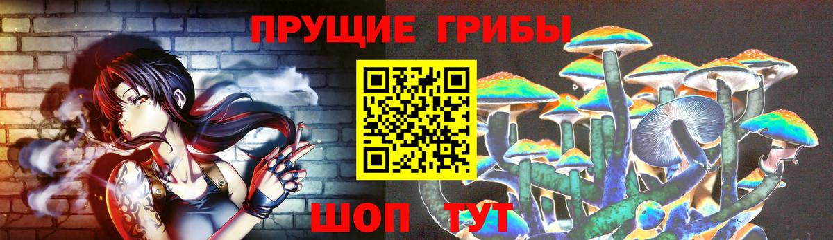 Галлюциногенные грибы прущие грибы  Вход с VPN  Луга 
